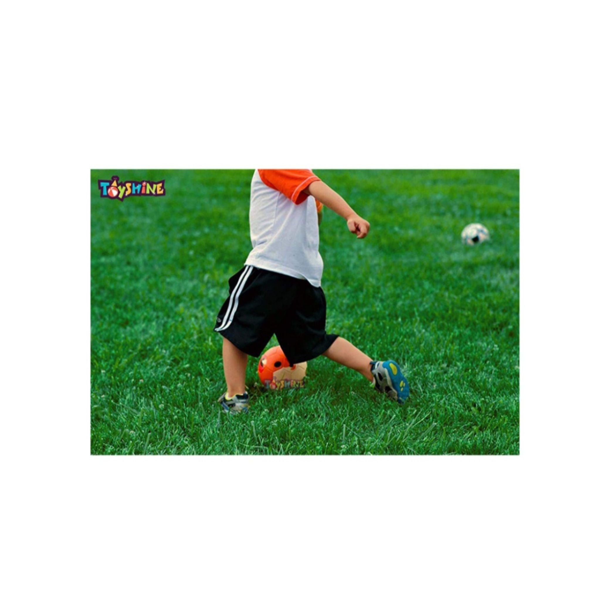 Toyshine Fox Football