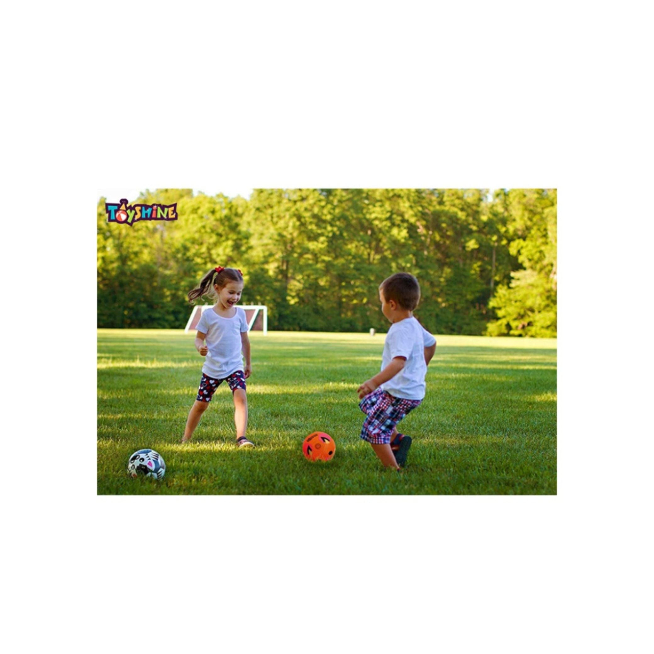 Toyshine Fox Football